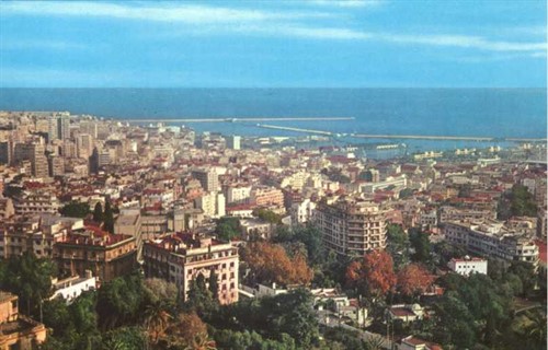 Camus 3 Alger60