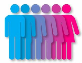 16.32 Gender -361x 275