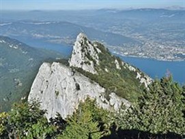 17.02_Dent Du Chat