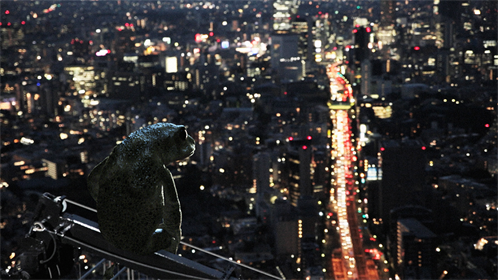 17.48__Frog