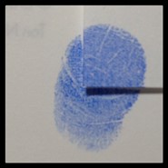 Week 51: Ton Naaijkens Week 51: Ton Naaijkens