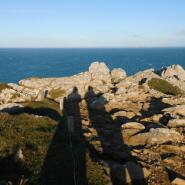 Week 4: Isabelle Bambust Week 4: Isabelle Bambust