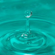 Week 25: Emilia Menkveld Week 25: Emilia Menkveld