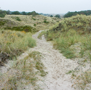 Week 28: Cees Koster Week 28: Cees Koster