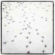 Week 11: Rien Verhoef Week 11: Rien Verhoef