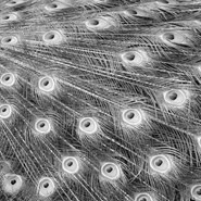 Week 17: Maaike Harkink Week 17: Maaike Harkink