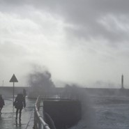 Week 7: Anna-Lou Dijkstra Week 7: Anna-Lou Dijkstra