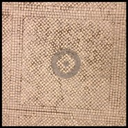 Week 41: Cees Koster Week 41: Cees Koster