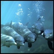 Week 1: Onno Kosters Week 1: Onno Kosters