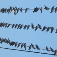 Week 38: Ilse Logie Week 38: Ilse Logie