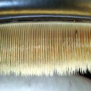 Week 49: Ton Naaijkens Week 49: Ton Naaijkens