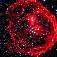 Week 2: Lisa Mensing Week 2: Lisa Mensing