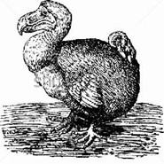 Week 10: Harm-Jan van Dam Week 10: Harm-Jan van Dam