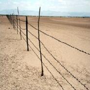 Week 46: Koen Boelens Week 46: Koen Boelens