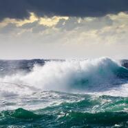 Week 7: Ton Naaijkens Week 7: Ton Naaijkens