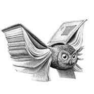 Week 16: Henri Bloemen Week 16: Henri Bloemen