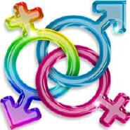 Week 20: Selm Wenselaers Week 20: Selm Wenselaers