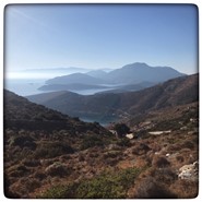 Week 41: Ton Naaijkens Week 41: Ton Naaijkens