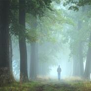 Week 9: Amber Janssens Week 9: Amber Janssens