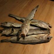 Week 19: Roemer Leushuis Week 19: Roemer Leushuis