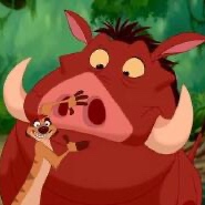 Week 8: Elisabeth Van Haegenborgh Week 8: Elisabeth Van Haegenborgh