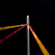 Week 31: Daan Stoffelsen Week 31: Daan Stoffelsen