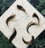 Week 18: Isabelle Bambust Week 18: Isabelle Bambust