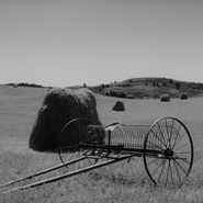 Week 20: Hans Kloos Week 20: Hans Kloos