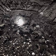 Week 26: Bert de Waart Week 26: Bert de Waart