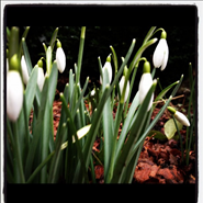 Week 1: Eva Wissenburg Week 1: Eva Wissenburg