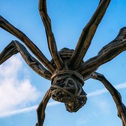 Week 9: Fabian R.W. Stolk Week 9: Fabian R.W. Stolk