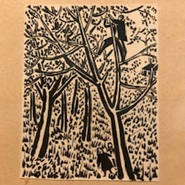 Week 21: Ton Naaijkens Week 21: Ton Naaijkens