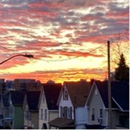 Week 49: Els Thant Week 49: Els Thant