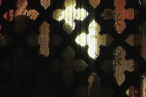 Week 49: Isabelle Bambust