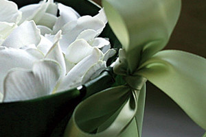 Week 6: Andrea Kluitmann