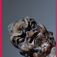 Filter wint Vertaalduivel