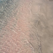 Week 13: Eva Wissenburg