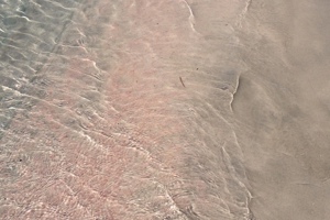 Week 13: Eva Wissenburg