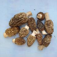 Week 18: Christiane Kuby