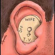 Week 23: Cees Koster