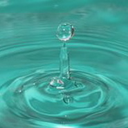 Week 25: Emilia Menkveld