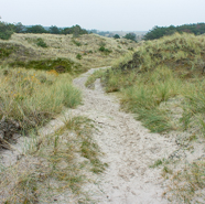 Week 28: Cees Koster