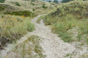 Week 28: Cees Koster