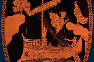 Week 30: Ton Naaijkens