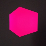 Week 38: Ton Naaijkens