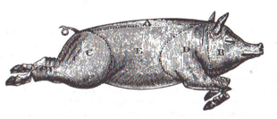 Smet_1996_afb