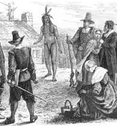 Week 45: Cees Koster