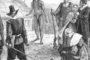 Week 45: Cees Koster