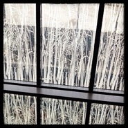 Week 46: Sylvia Heimans