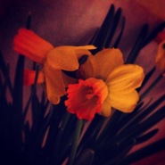 Week 50: Katarzyna Tryczynska